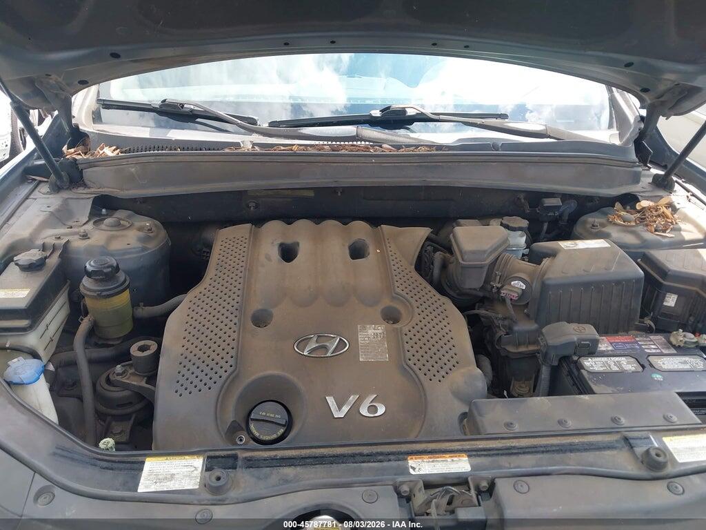 5NMSG13D37H115534 2007 HYUNDAI SANTA FE photo no. 10