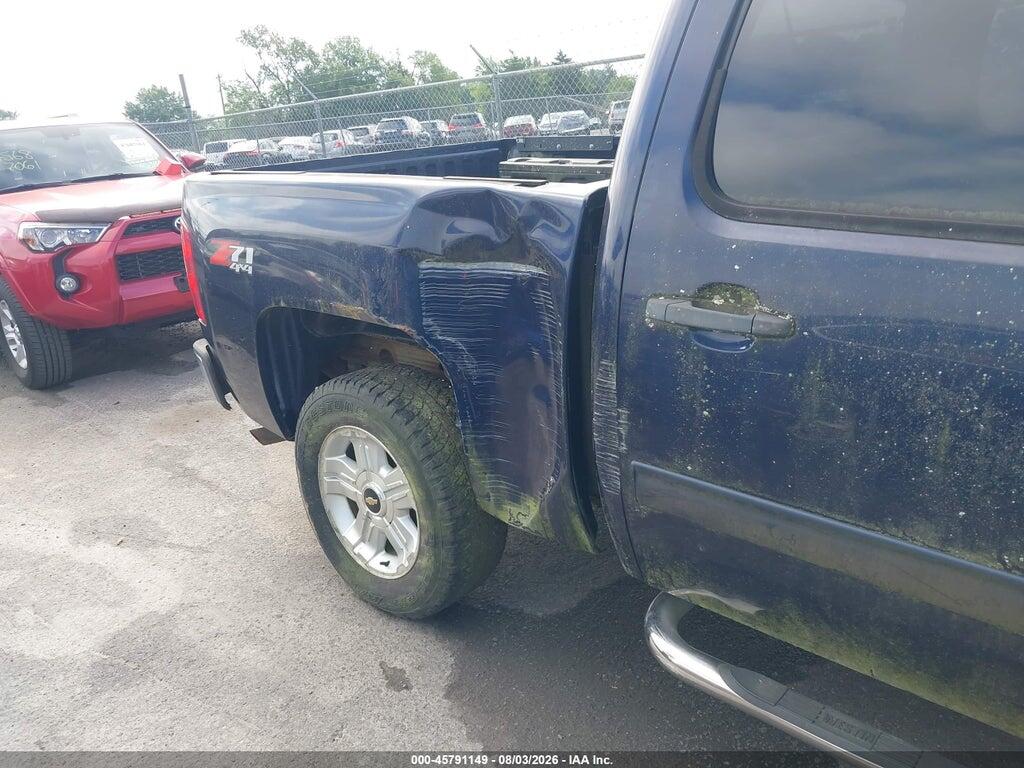 2GCEK233391123455 2009 CHEVROLET SILVERADO 1500 photo no. 12