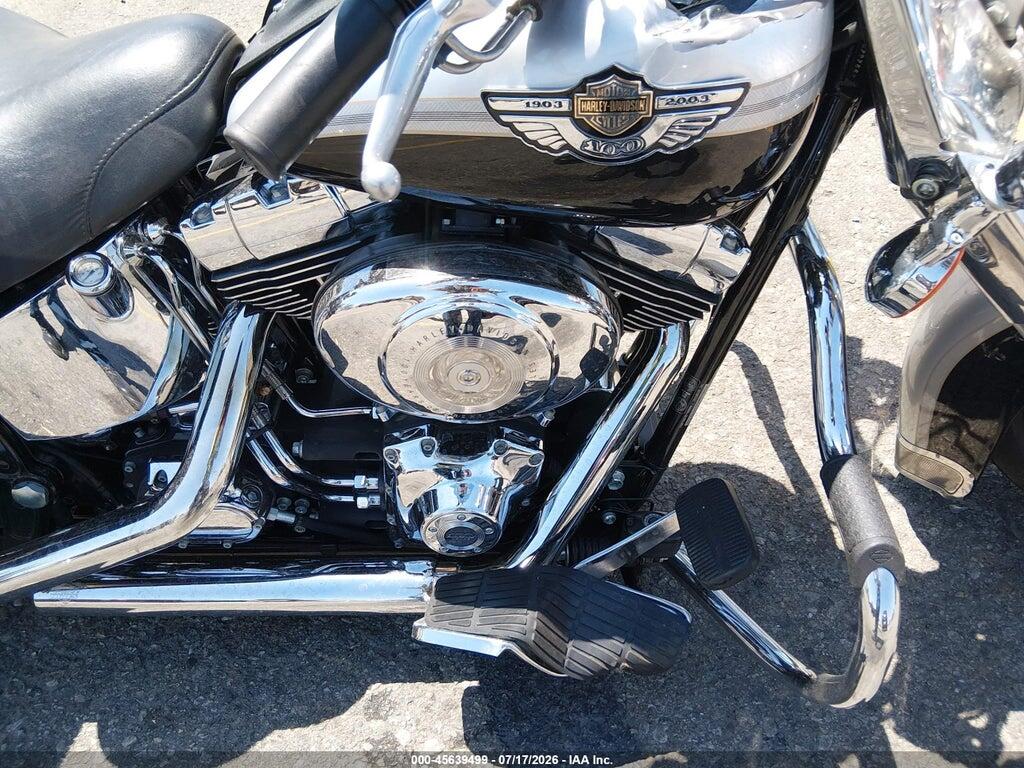 1HD1BWB503Y072766 2003 HARLEY-DAVIDSON FLSTCI photo no. 8