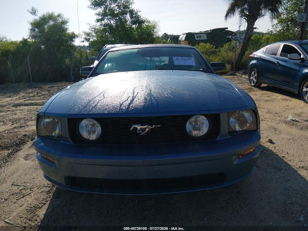 1ZVHT85H665252562 2006 FORD MUSTANG photo no. 12