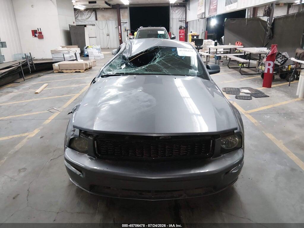 1ZVFT82HX65194385 2006 FORD MUSTANG photo no. 12