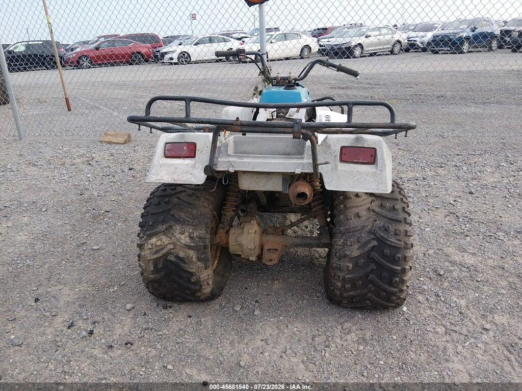 JKBLFBA11RB566710 1994 KAWASAKI KLF220 photo no. 6