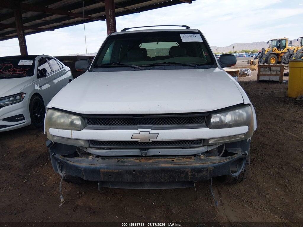 1GNDS13S522476533 2002 CHEVROLET TRAILBLAZER photo no. 6