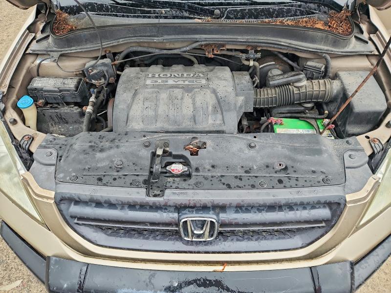 5FNYF18695B000216 2005 HONDA PILOT photo no. 12