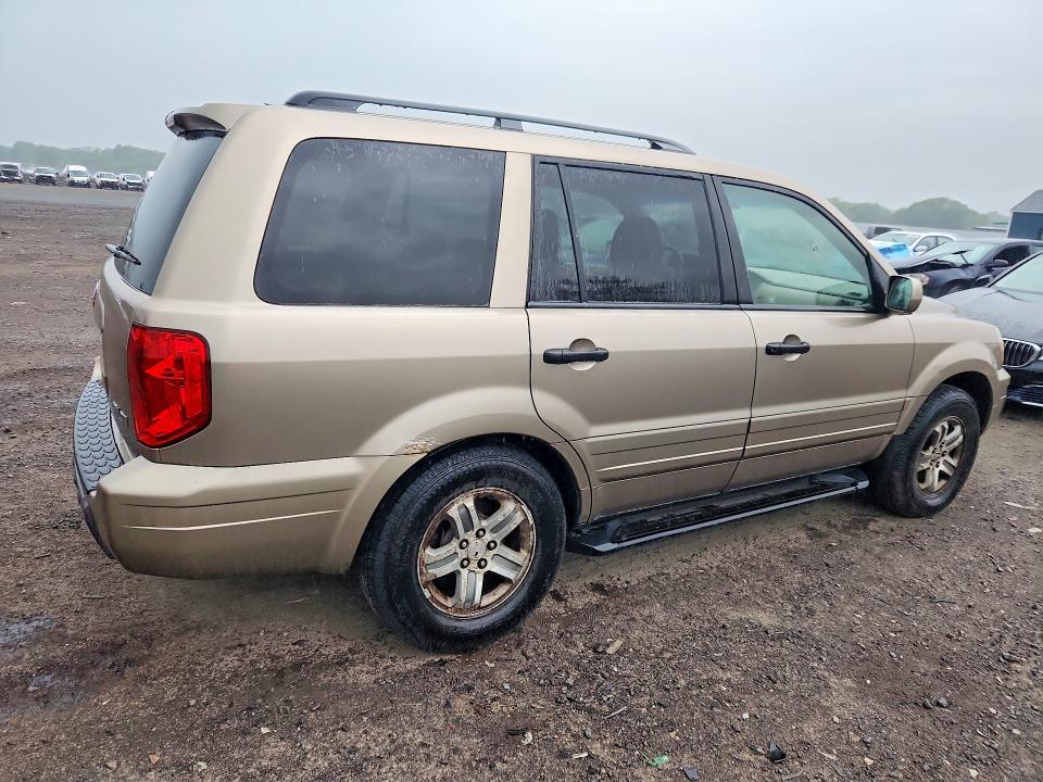 5FNYF18695B000216 2005 HONDA PILOT photo no. 3