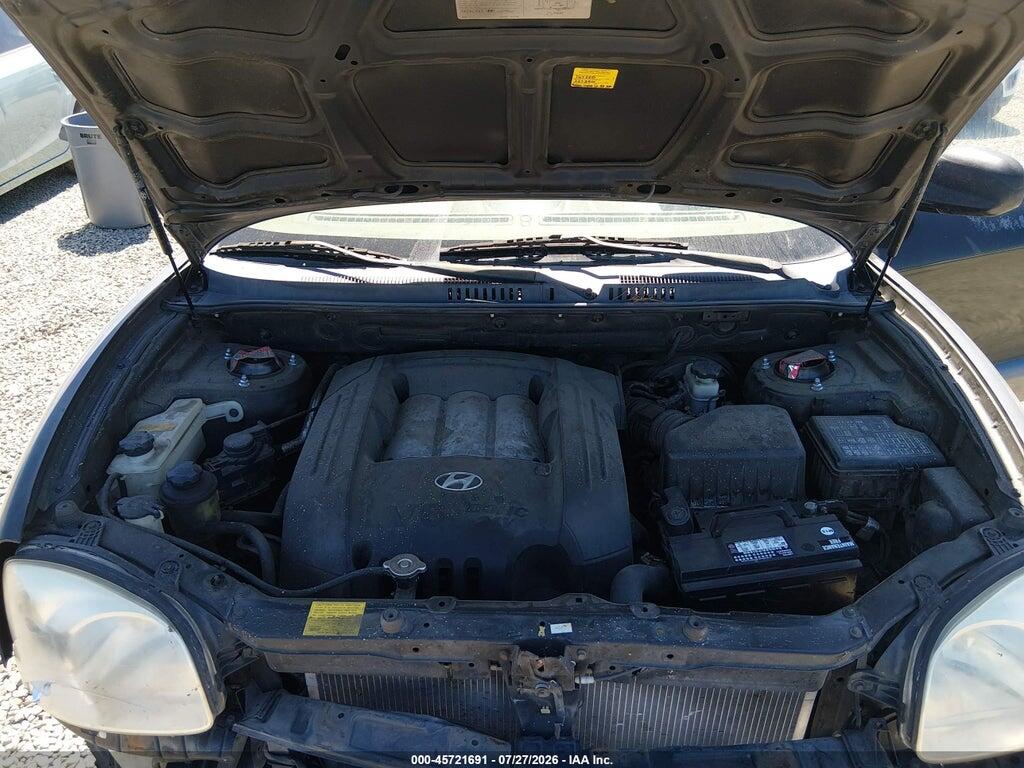 KM8SC13D34U643893 2004 HYUNDAI SANTA FE photo no. 10