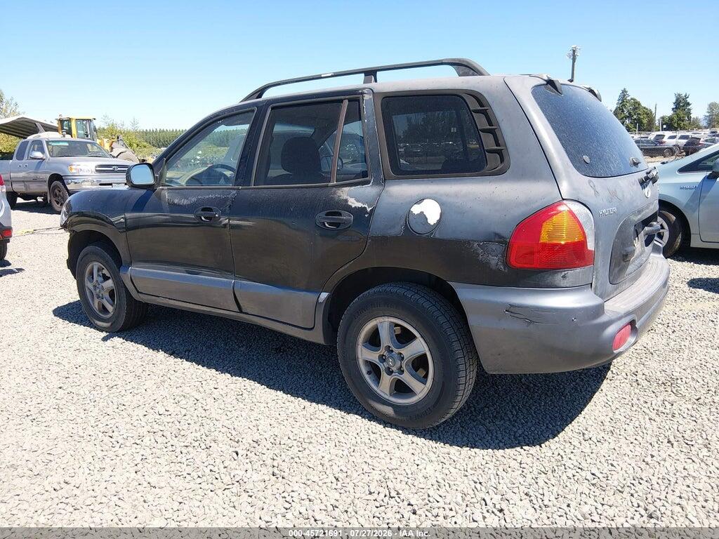KM8SC13D34U643893 2004 HYUNDAI SANTA FE photo no. 3