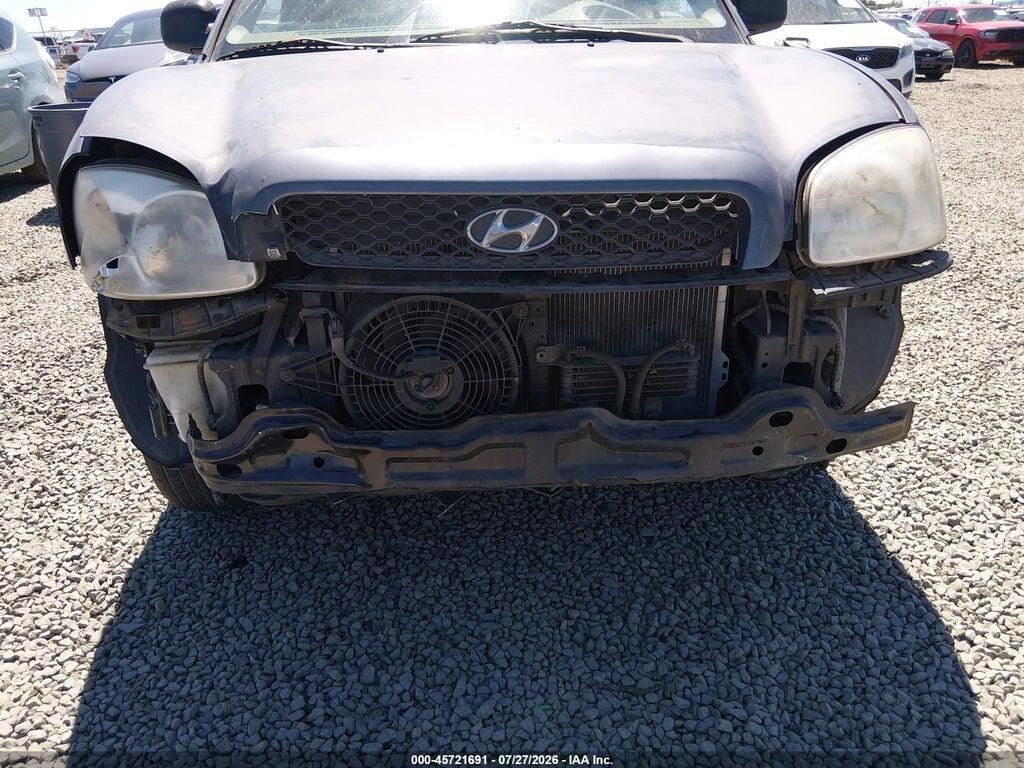 KM8SC13D34U643893 2004 HYUNDAI SANTA FE photo no. 6