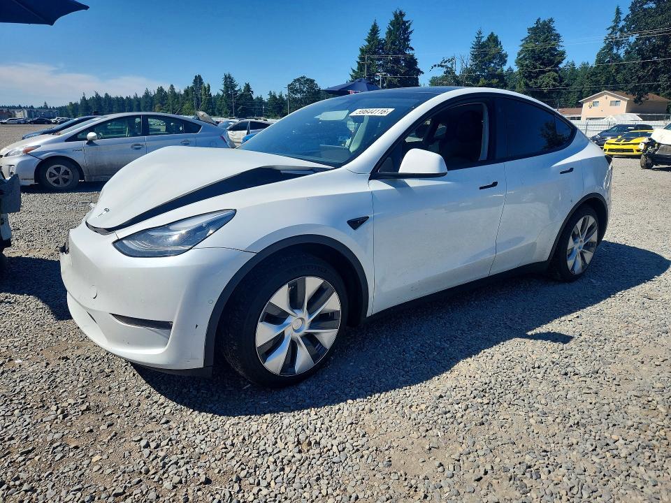 5YJYGDEE4MF204169 2021 TESLA MODEL Y photo no. 1