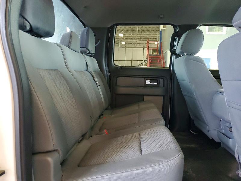 1FTFW1ET7DFB77620 2013 FORD F150 photo no. 10