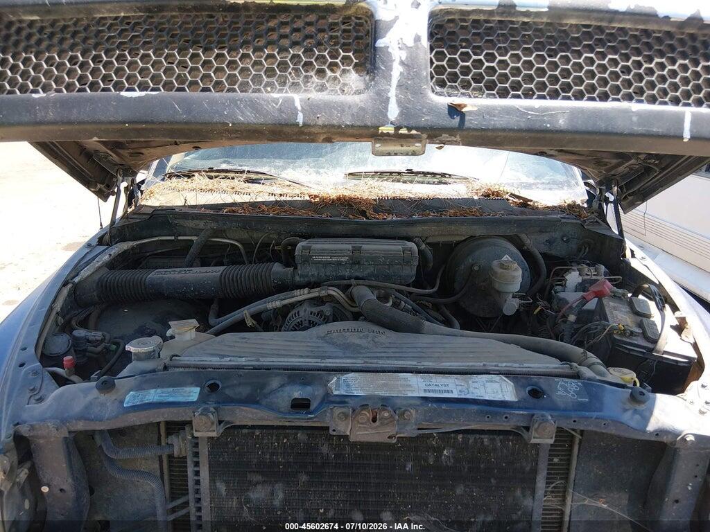 1B7HF13Z21J559935 2001 DODGE RAM 1500 photo no. 10