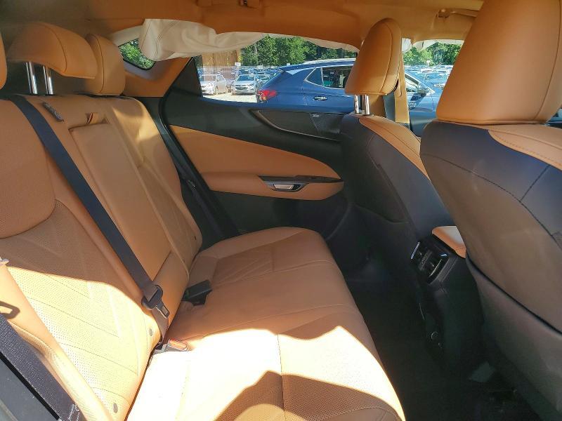 2024 LEXUS NX 350H LUXURY — Фото 11 из 14