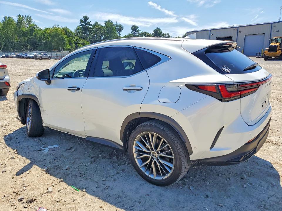 2024 LEXUS NX 350H LUXURY — Фото 2 из 14