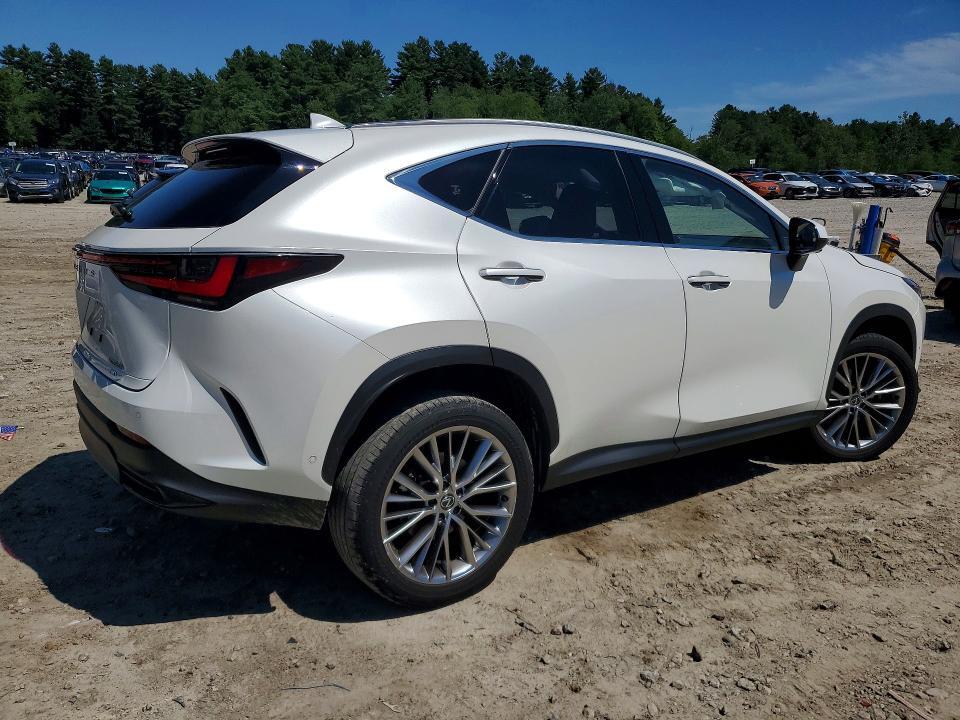 2024 LEXUS NX 350H LUXURY — Фото 3 из 14