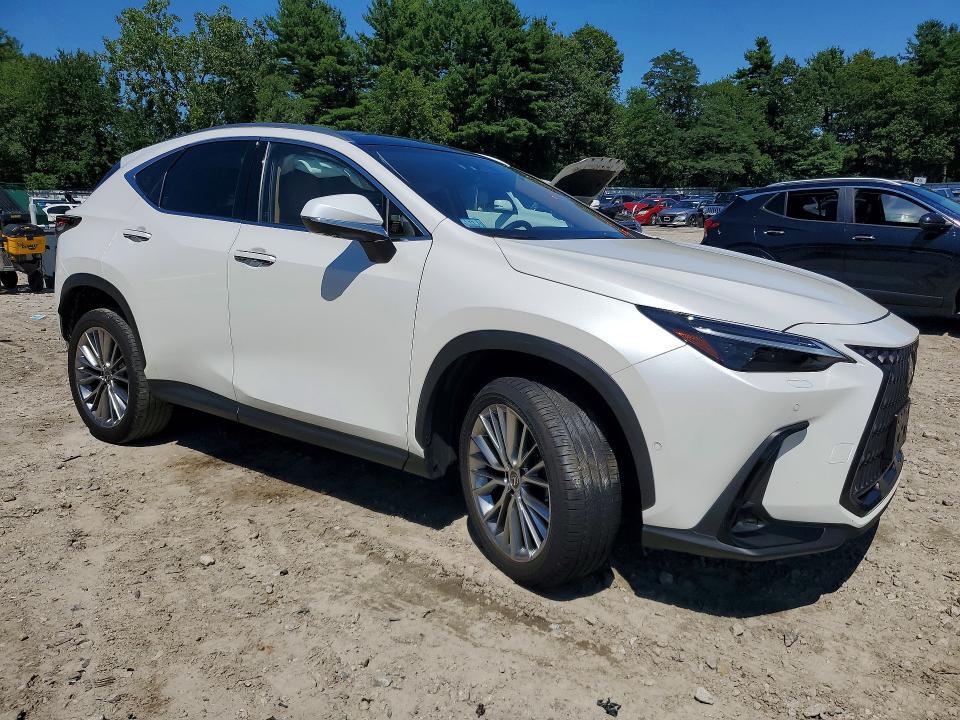 2024 LEXUS NX 350H LUXURY — Фото 4 из 14