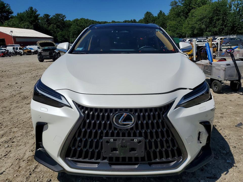 2024 LEXUS NX 350H LUXURY — Фото 5 из 14