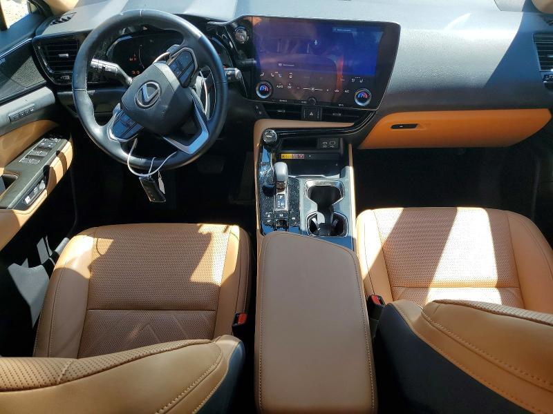 2024 LEXUS NX 350H LUXURY — Фото 8 из 14