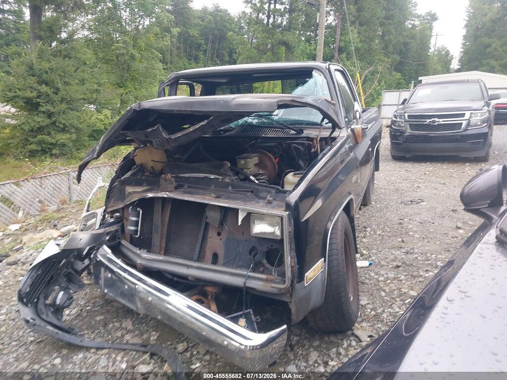 1GCDC14H0GF348161 1986 CHEVROLET C10 photo no. 2