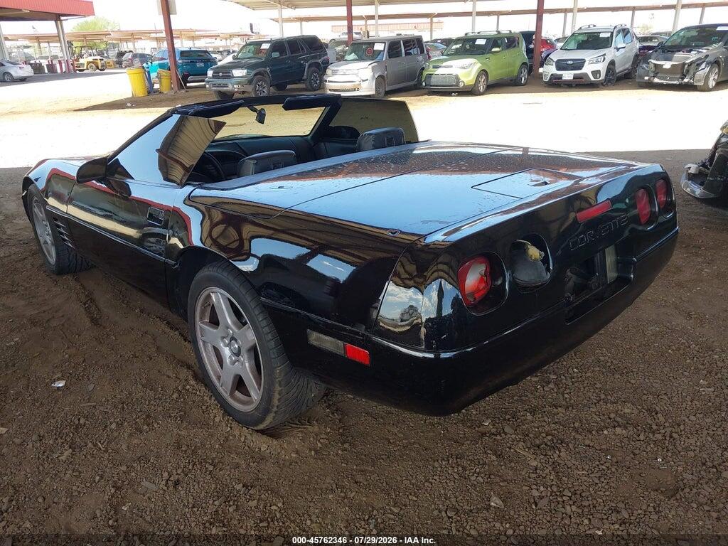 1G1YY3388M5116286 1991 CHEVROLET CORVETTE photo no. 3