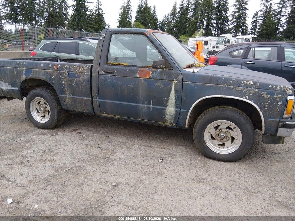 1GCCS14A4M0165426 1991 CHEVROLET S TRUCK photo no. 6