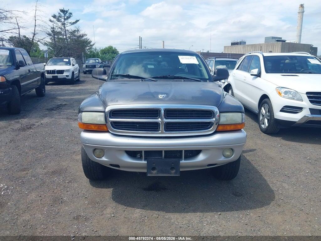 1D7HG48N53S108537 2003 DODGE DAKOTA photo no. 6