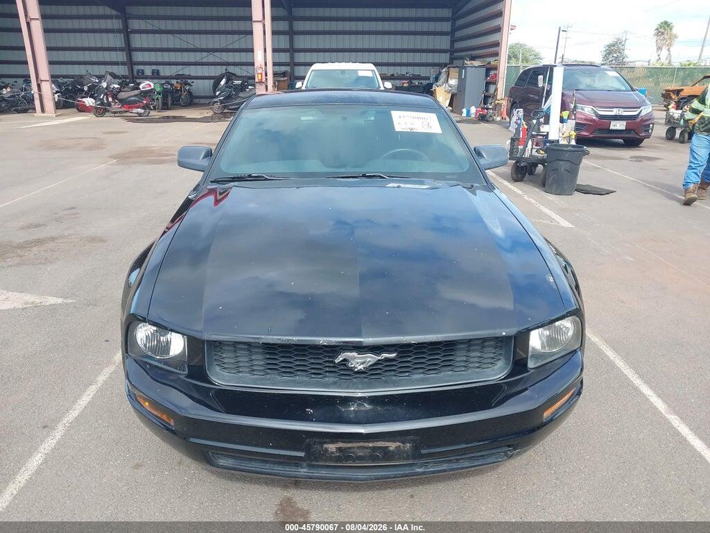 1ZVFT80N355238475 2005 FORD MUSTANG photo no. 6