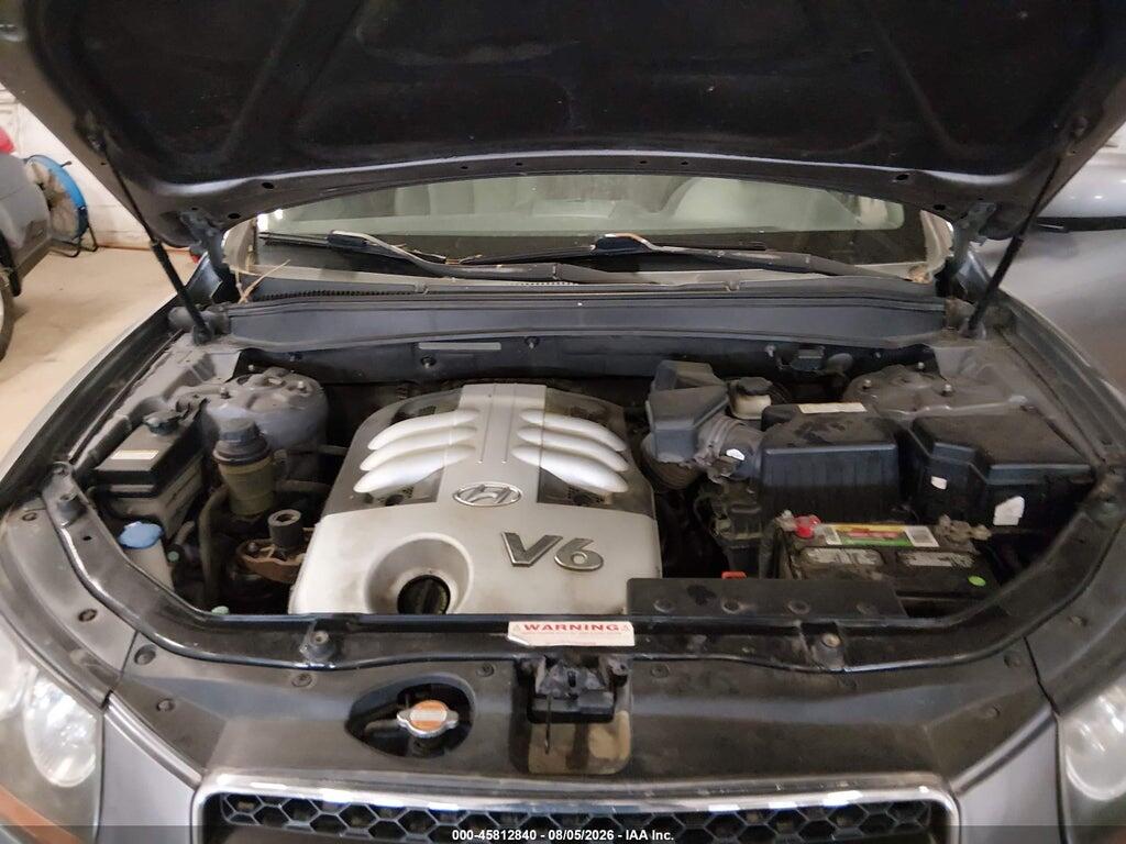 5NMSH13E67H037076 2007 HYUNDAI SANTA FE photo no. 10
