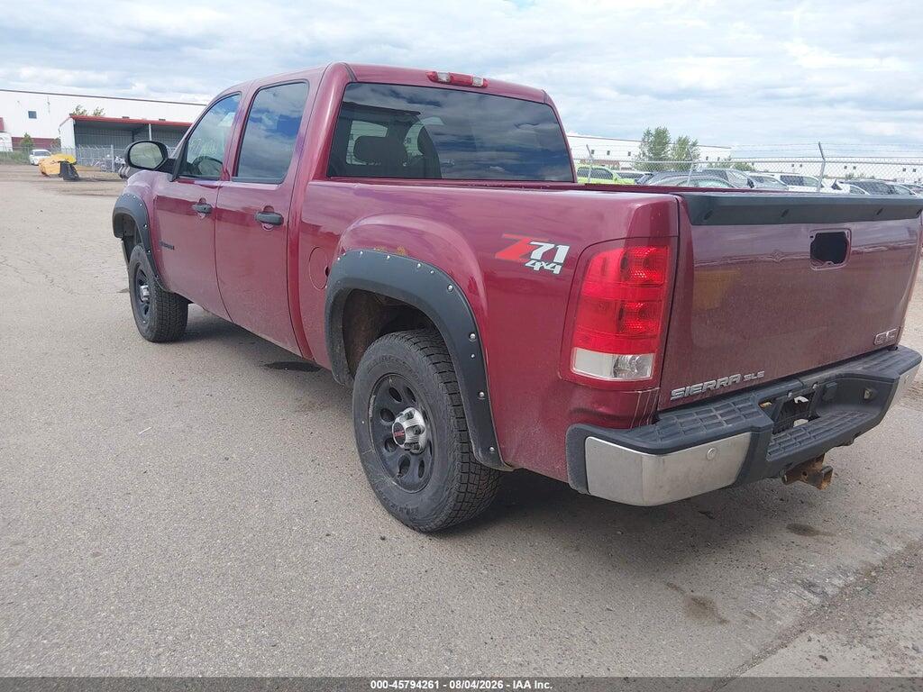 2GTEK13M971635222 2007 GMC SIERRA 1500 photo no. 3