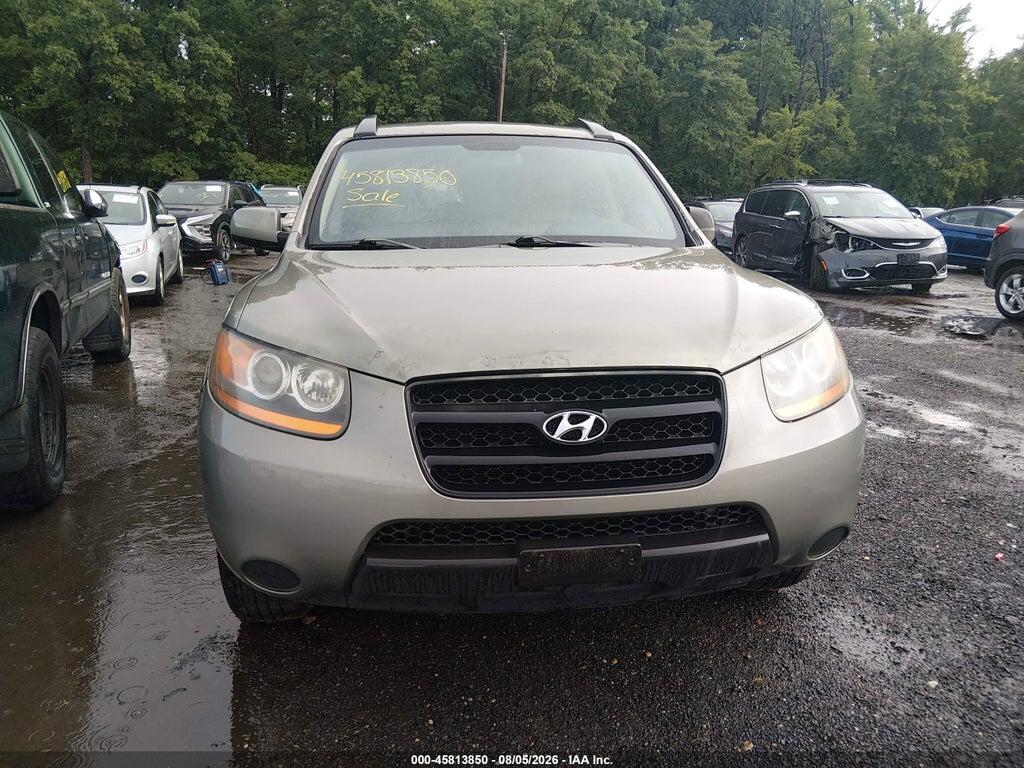 5NMSG13D28H214492 2008 HYUNDAI SANTA FE photo no. 6