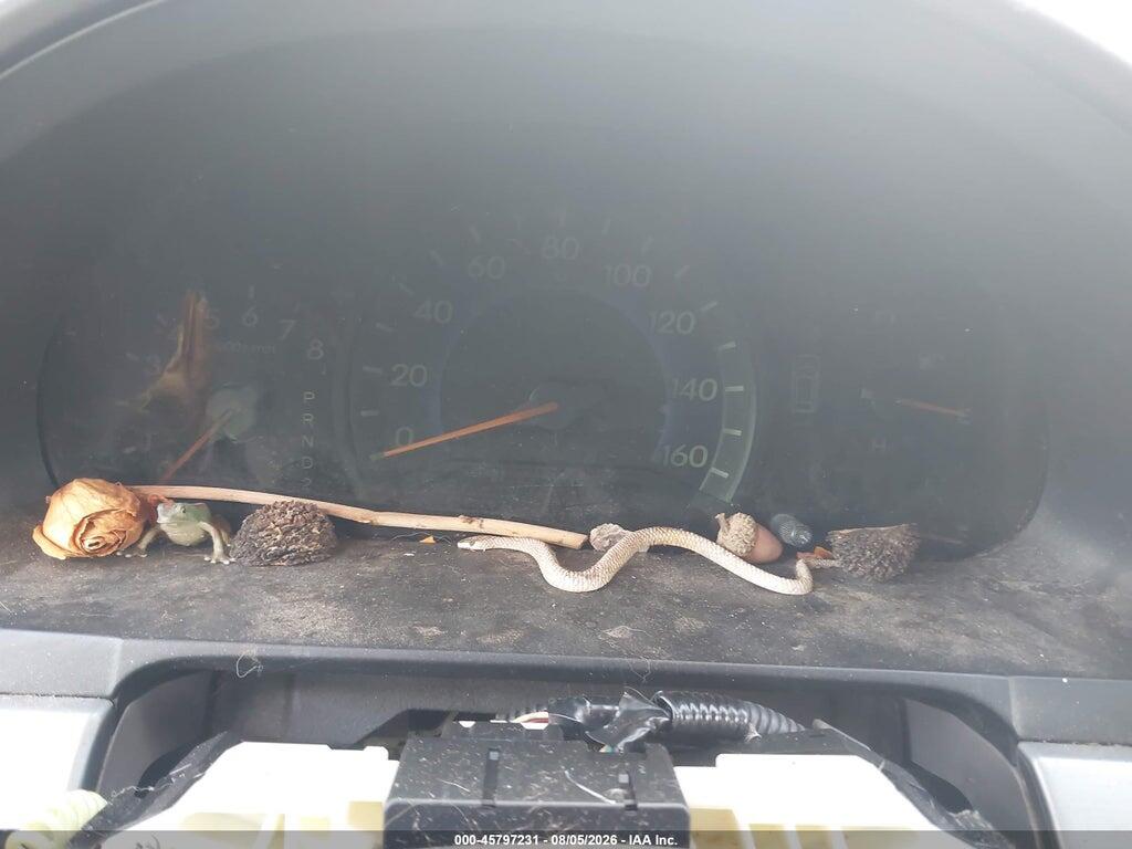 5FNRL38648B104593 2008 HONDA ODYSSEY photo no. 7