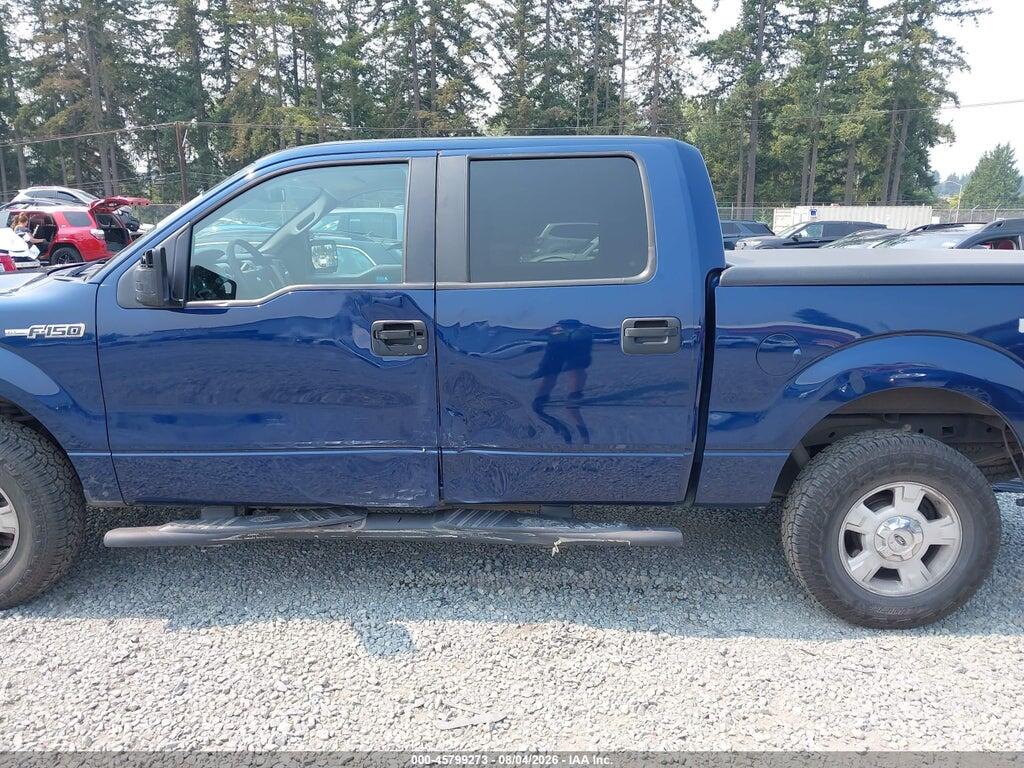 1FTRW14849FA48557 2009 FORD F-150 photo no. 6