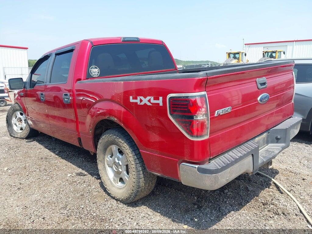 1FTEW1E85AKE08010 2010 FORD F-150 photo no. 3