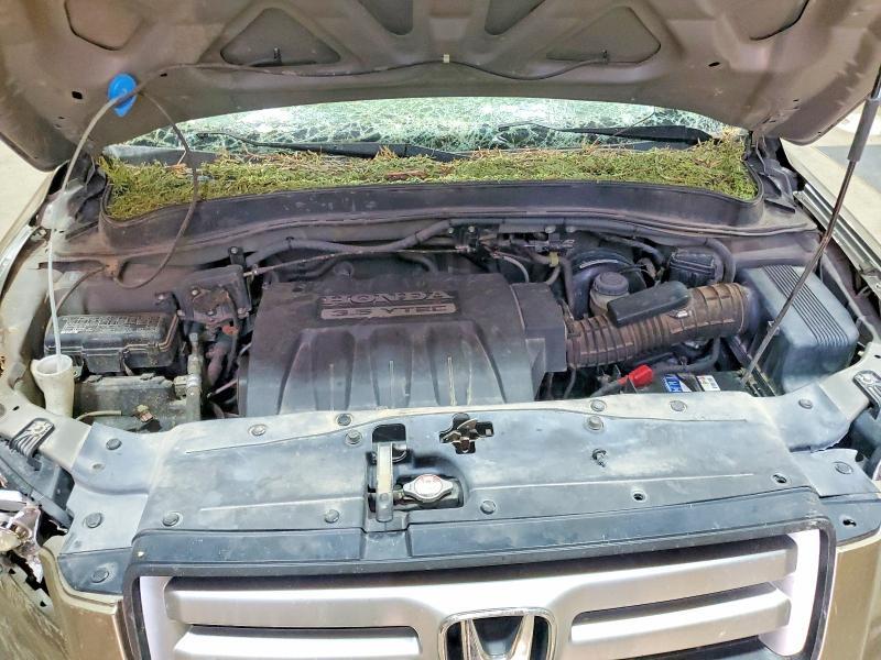 5FNYF18518B052404 2008 HONDA PILOT photo no. 12