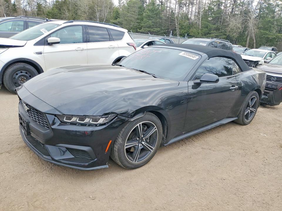 1FAGP8UH4R5127073 2024 FORD MUSTANG photo no. 1