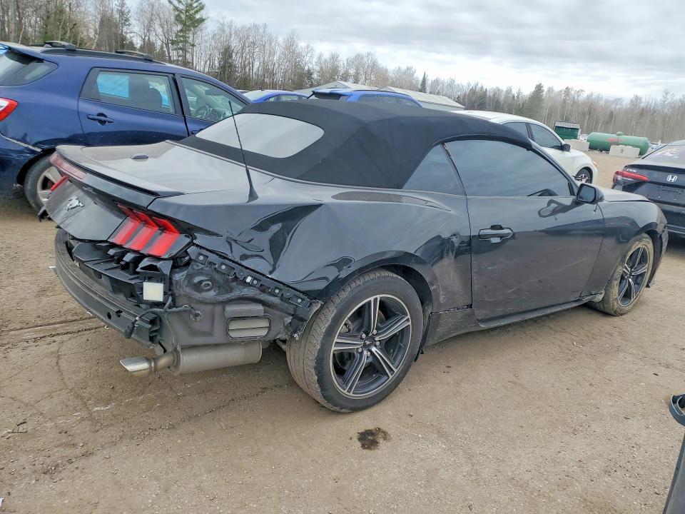 1FAGP8UH4R5127073 2024 FORD MUSTANG photo no. 3