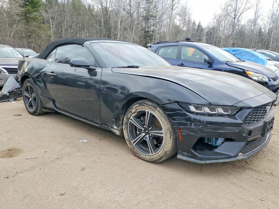 1FAGP8UH4R5127073 2024 FORD MUSTANG photo no. 4