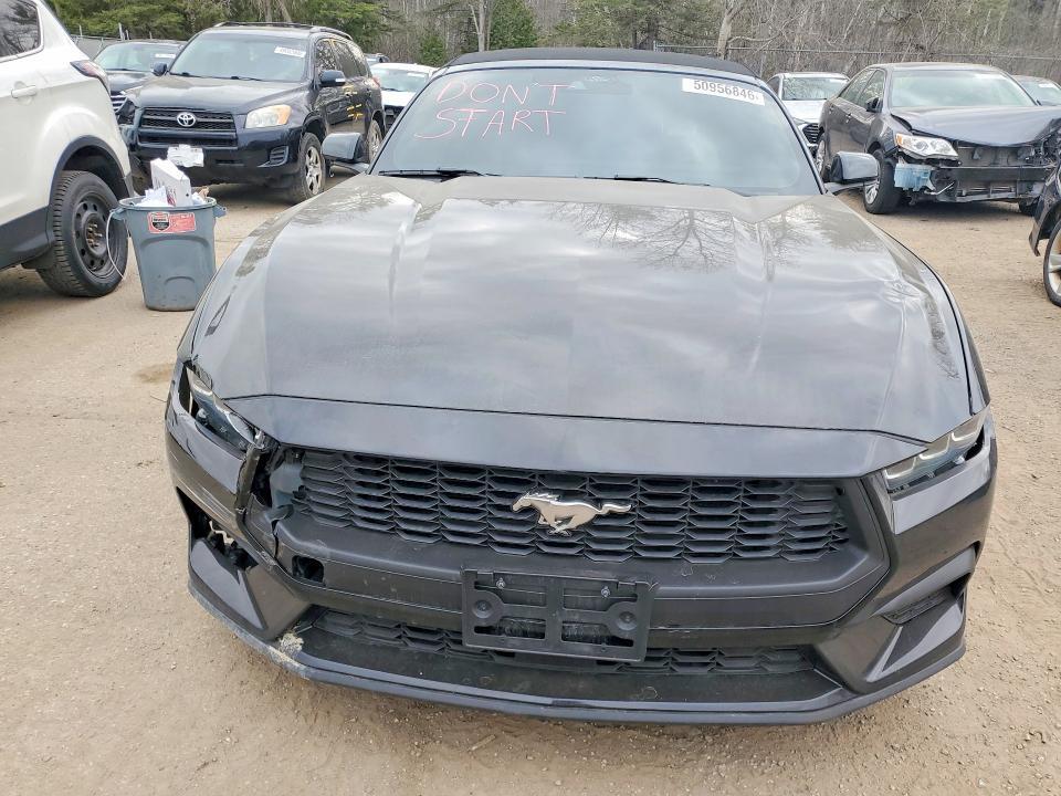 1FAGP8UH4R5127073 2024 FORD MUSTANG photo no. 5