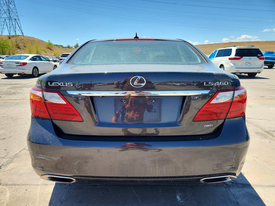 JTHCL5EF3A5004948 2010 LEXUS LS 460 photo no. 6