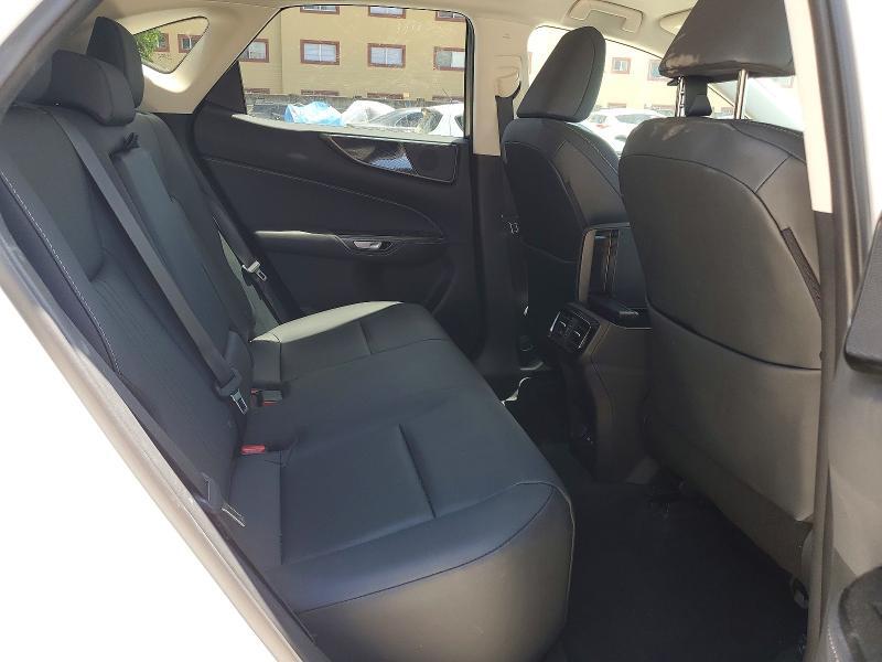 2025 LEXUS NX 250 BASE — Фото 10 из 13