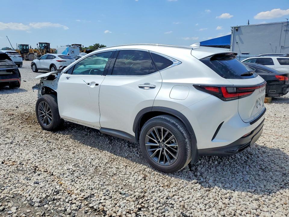 2025 LEXUS NX 250 BASE — Фото 2 из 13