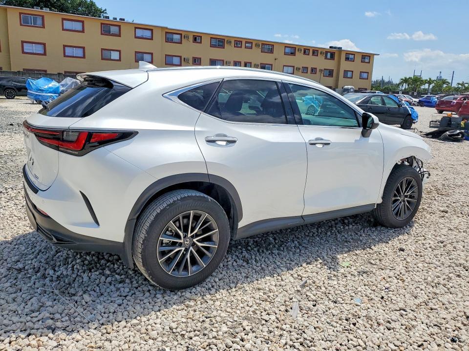 2025 LEXUS NX 250 BASE — Фото 3 из 13