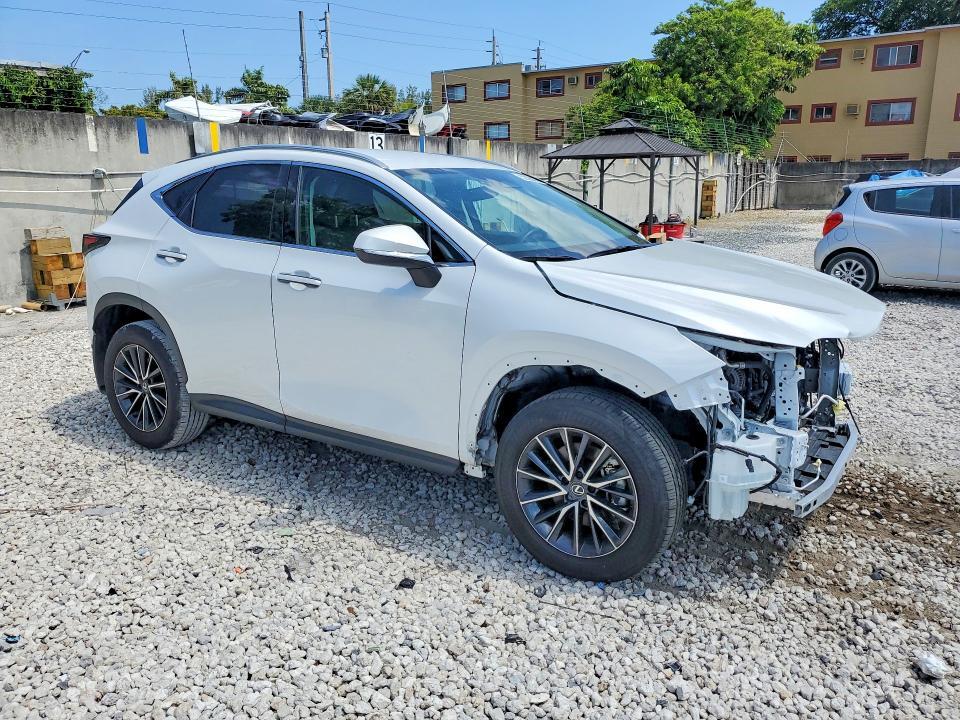 2025 LEXUS NX 250 BASE — Фото 4 из 13