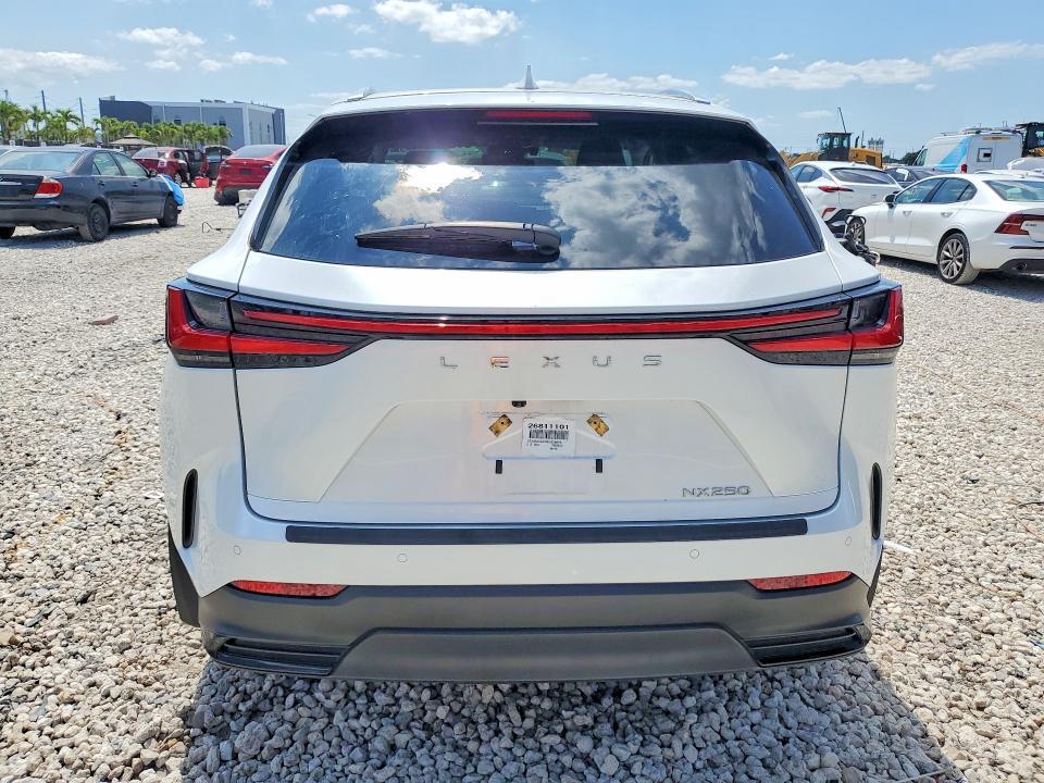2025 LEXUS NX 250 BASE — Фото 6 из 13