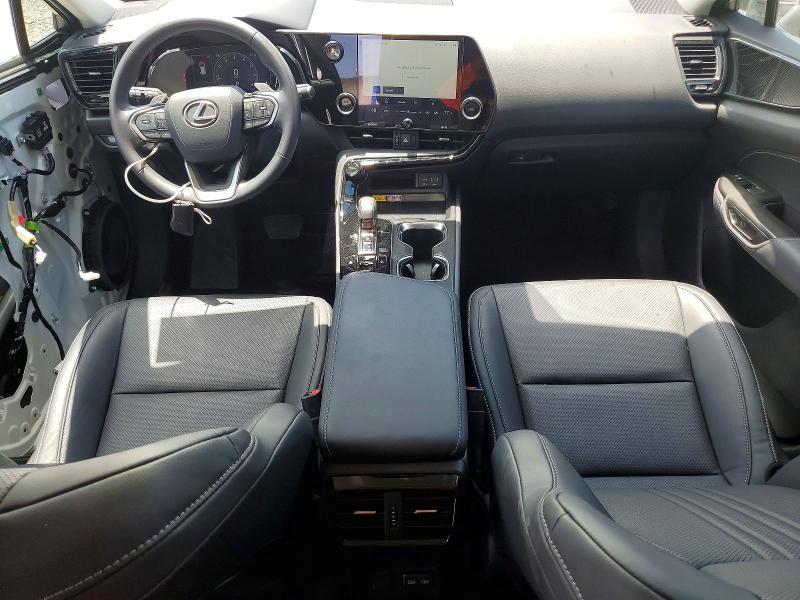 2025 LEXUS NX 250 BASE — Фото 8 из 13
