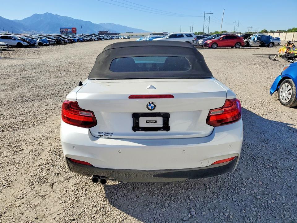 WBA1K5C51FV473885 2015 BMW 228 photo no. 6