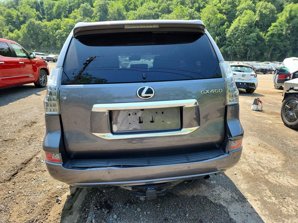2023 LEXUS GX 460 — Фото 6 из 13
