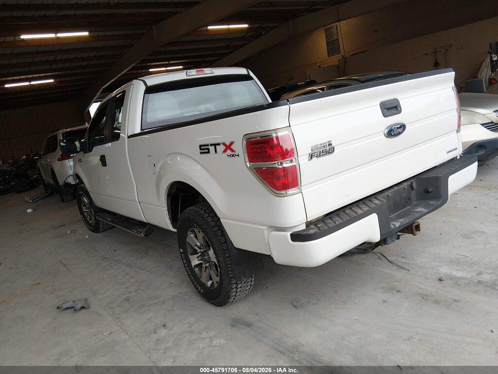 1FTFX1EF8DFC43843 2013 FORD F-150 photo no. 3