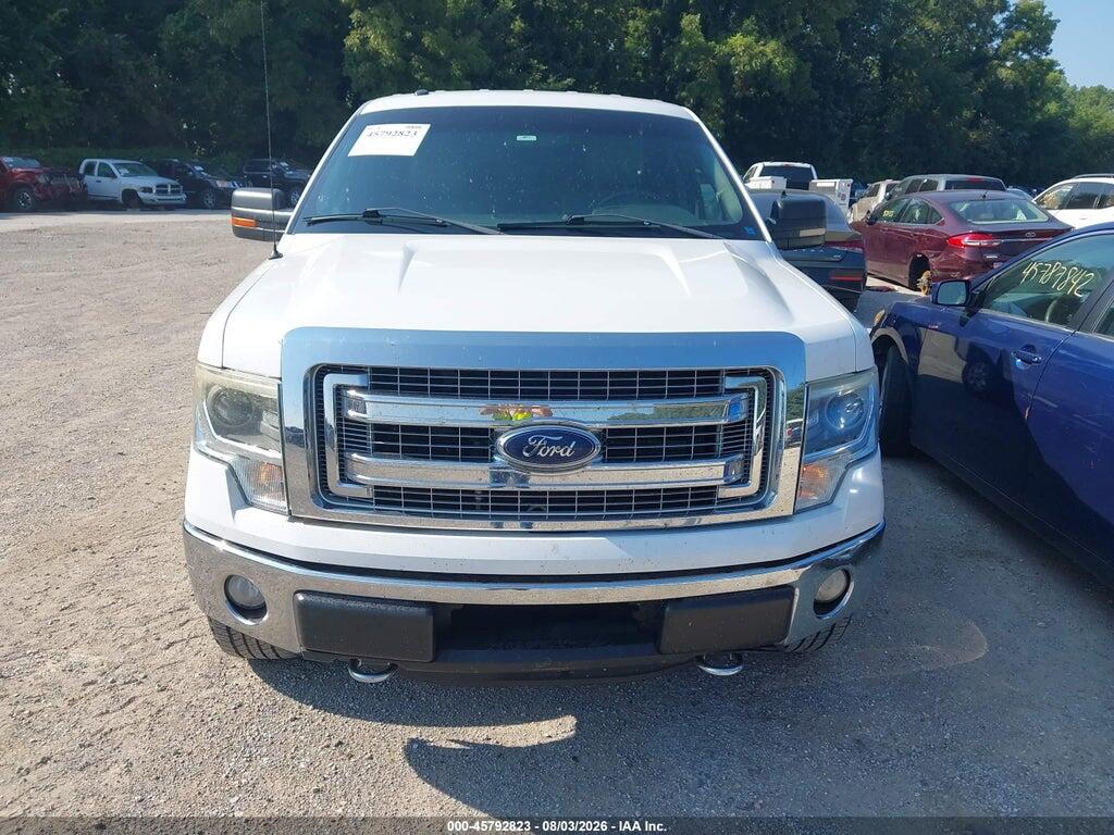 1FTFW1EF5EKE81967 2014 FORD F-150 photo no. 12