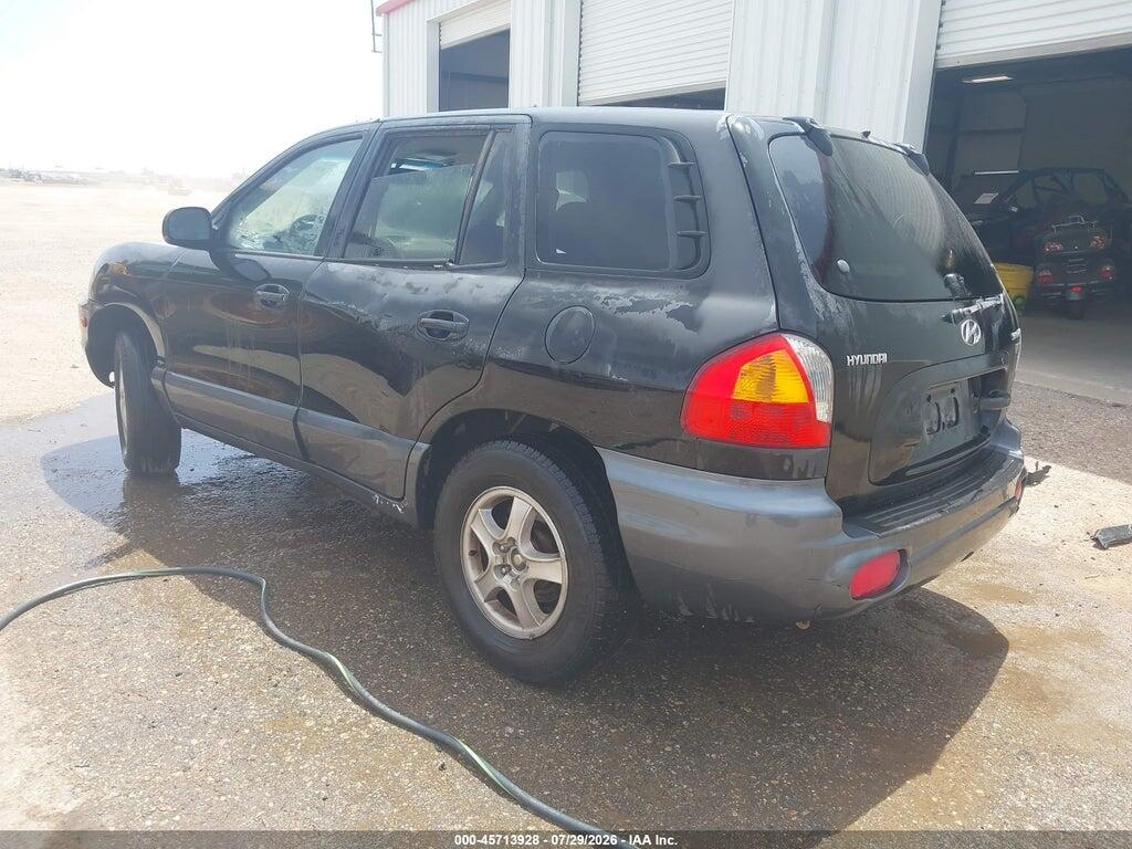 KM8SC13E63U538529 2003 HYUNDAI SANTA FE photo no. 3