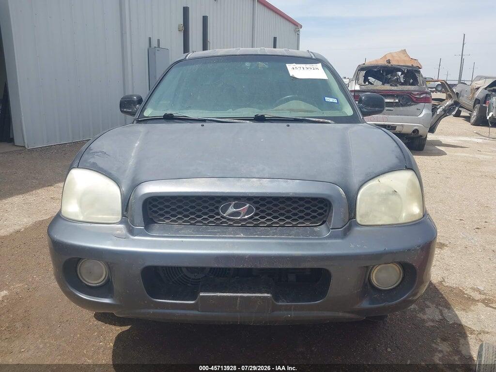 KM8SC13E63U538529 2003 HYUNDAI SANTA FE photo no. 6